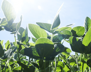 vacature rvt milieu en natuur